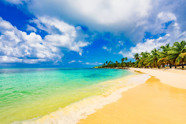 Similar image 18136700