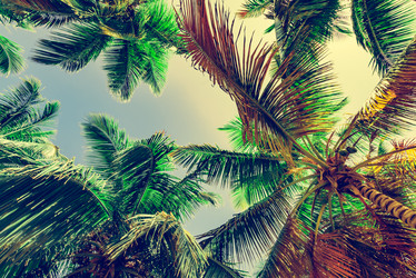 Similar image 18136634