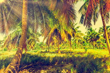 Similar image 18136642