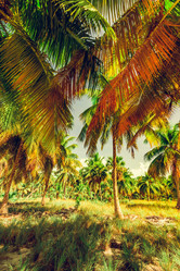 Similar image 18136646