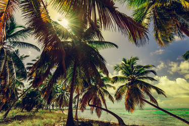 Similar image 18136650