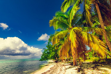 Similar image 18136654