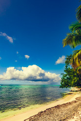 Similar image 18136658