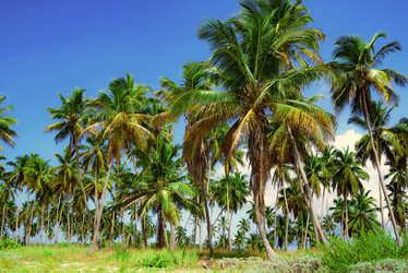 Similar image 18136669