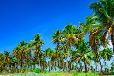 Similar image 18136673