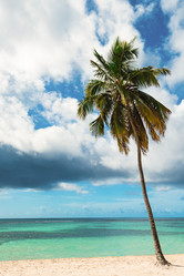 Similar image 18136675