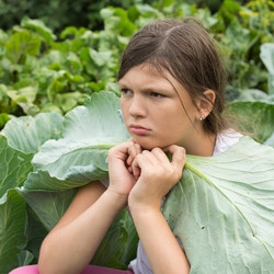 Similar image 17816922