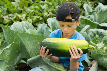 Similar image 17816931