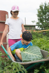 Similar image 18508220