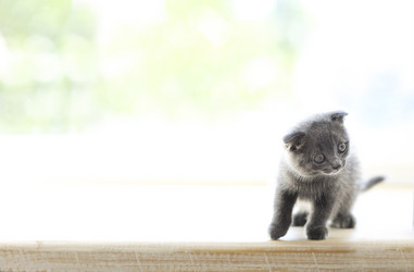 Similar image 18363308