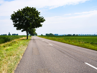 Similar image 17816614