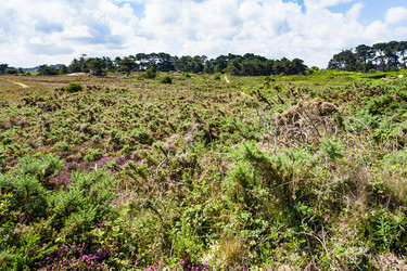 Similar image 17818279