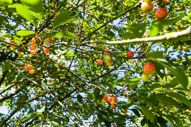 Similar image 17818300