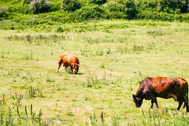 Similar image 17818551