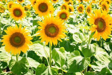 Similar image 17818556