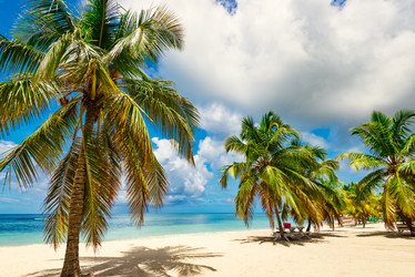 Similar image 18136685