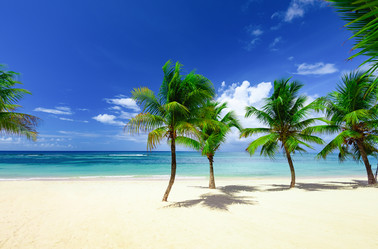 Similar image 18136702