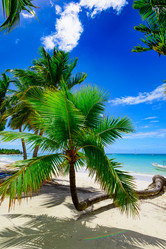 Similar image 18136718