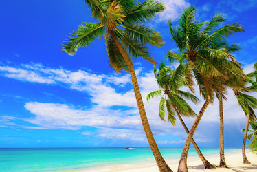 Similar image 18136747