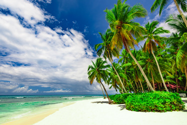 Similar image 18136755