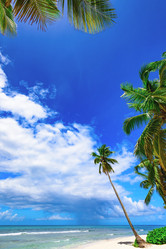 Similar image 18136762