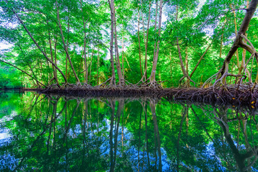 Similar image 18136712