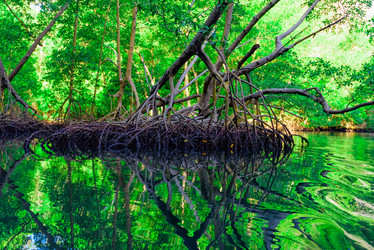 Similar image 18136715