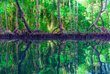 Similar image 18136719