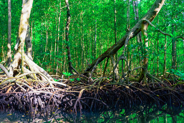 Similar image 18136728