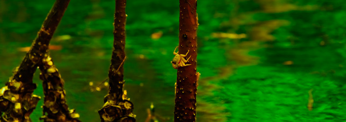 Similar image 18136732