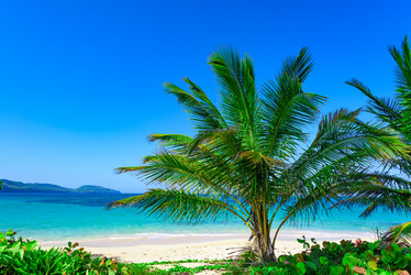 Similar image 18136749