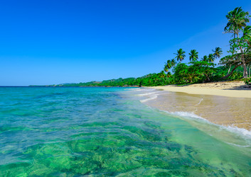 Similar image 18136753