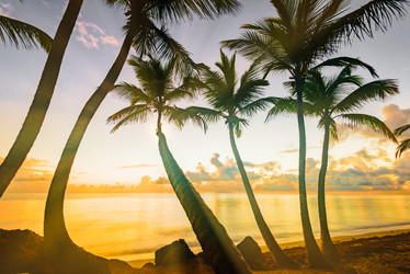 Similar image 18136759