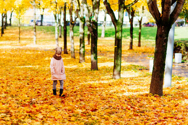 Similar image 17817748