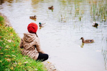 Similar image 17817770