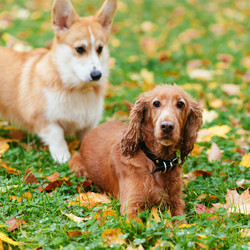 Similar image 17817777