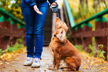 Similar image 17817791