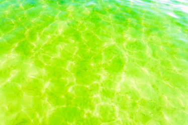 Similar image 18136776