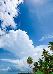 Similar image 18136778