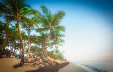 Similar image 18136788