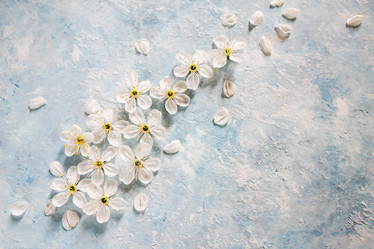 Similar image 18363893