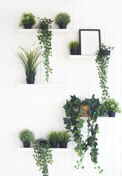 Similar image 18363907