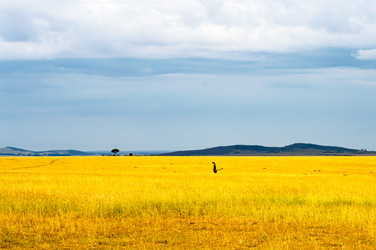 Similar image 18512242