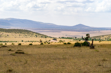 Similar image 18512244