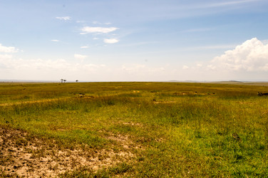 Similar image 18512249