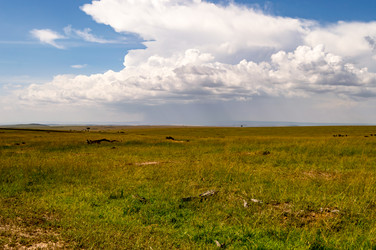 Similar image 18512250