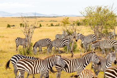 Similar image 18512266