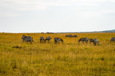 Similar image 18512269