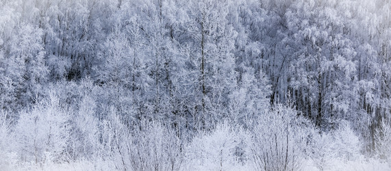 Similar image 18136795