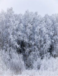 Similar image 18136807